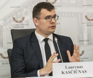 Лауринас Касчюнас: конечная цель - прекращение действия виз для россиян в масштабе ЕС 