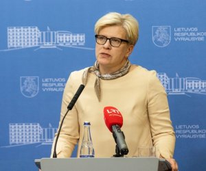 Премьер Литвы: следует рассмотреть совместные решения ЕС по ценам в энергетике