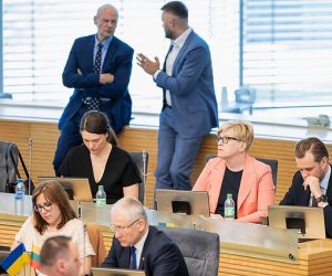 Лидеры рейтинга партий в Литве по-прежнему - консерваторы, опрос Delfi/Spinter