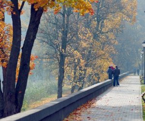  COVID-19 в Литве за сутки: 60 новых случая заражения, один летальный исход