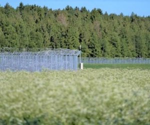 На границе Литвы с Беларусью не пропущено 47 мигрантов