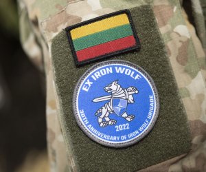 В Литве начались крупные международные военные учения