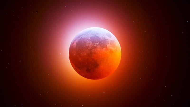 Жители Земли 8 ноября увидят полное затмение Луны