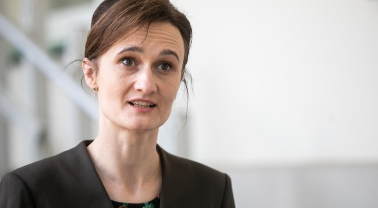 Cпикер Сейма: о голосовании по льготе НДС и помощи Украине