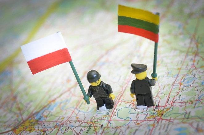 Сейм Литвы отклонил инициативу об использовании диакритиков в именах и фамилиях