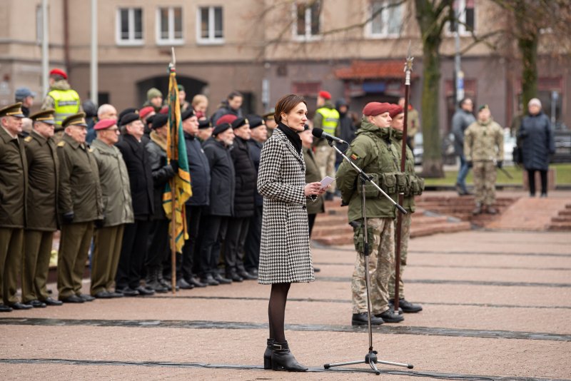 В Вильнюсе отметили годовщину создания Добровольческих сил национальной обороны (видео)
