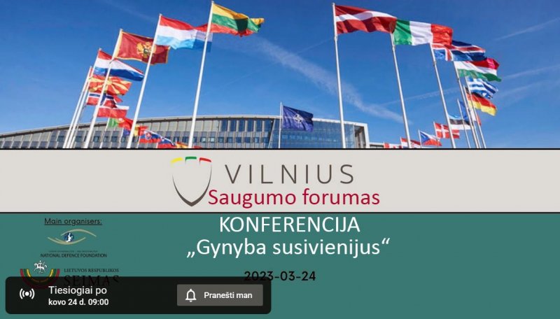 В Сейме Литвы проходит Восьмой Вильнюсский форум по безопасности