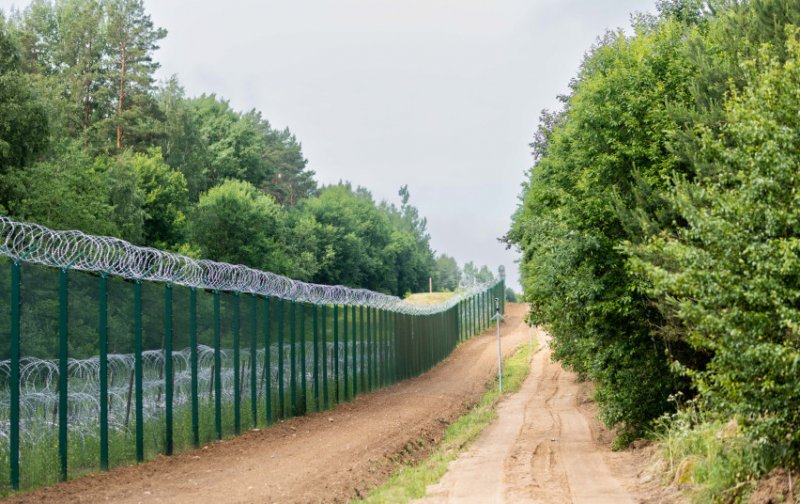 На границе Литвы с Беларусью развернули трех нелегальных мигрантов