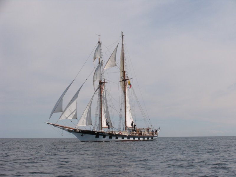 Ученые и группа жителей Клайпеды отправляются в экспедицию к затонувшему судну