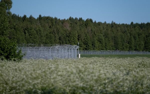СОГГЛ: на границе Литвы  с Беларусью развернули 14 нелегальных мигрантов