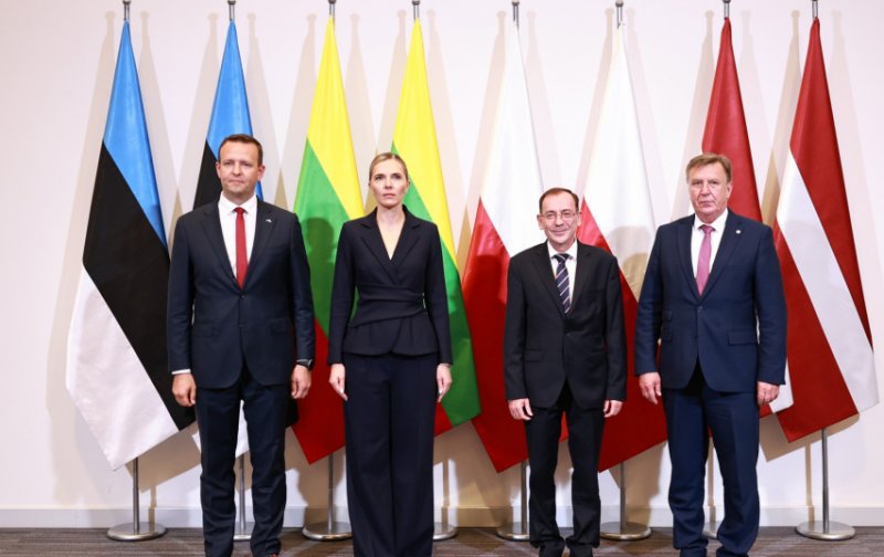 Министр: границу Литвы с Беларусью закроют в случае вооруженного инцидента, прорыва мигрантов