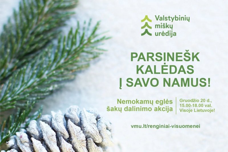 Акция «Принеси Рождество в свой дом»: по всей Литве лесничества проведут акцию по раздаче еловые веток