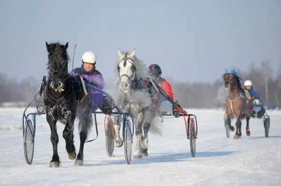 После четырехлетнего перерыва в Сартай пройдут скачки рысаков (дополнено)