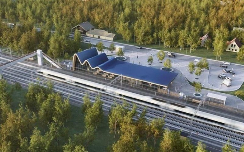 Жители Паневежского района проводят в Вильнюсе протест против Rail Baltica