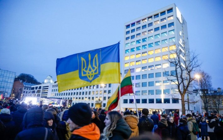 Члены Сейма заверили коллег в Украине, что Литва останется преданным партнером до победы