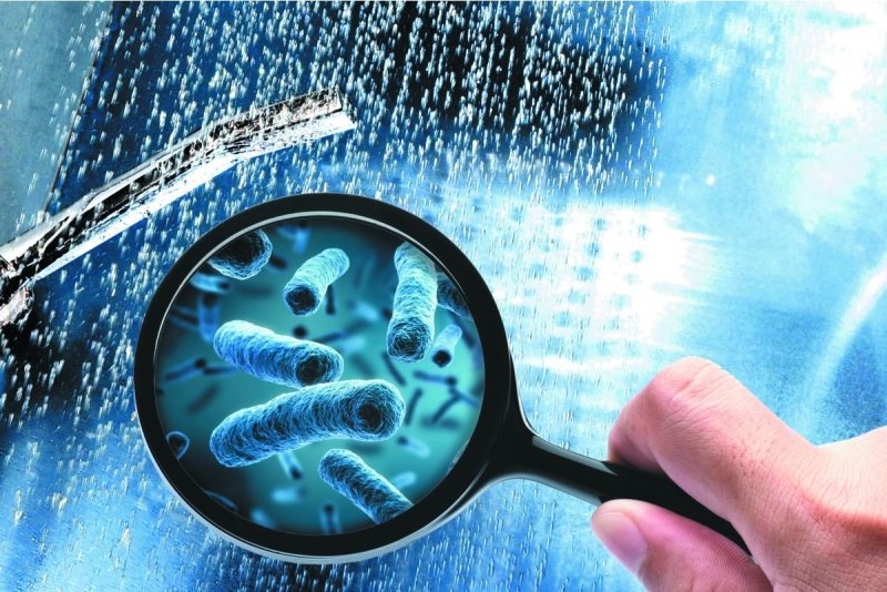 Легионеллез  – «болезнь теплого душа» и путешественников