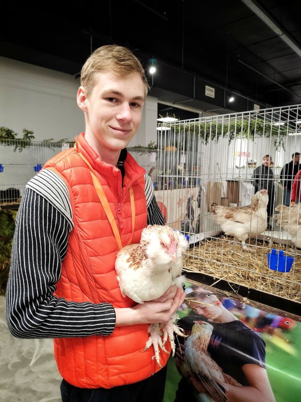 Необычные питомцы завоевывают наши сердца и заселяют дома