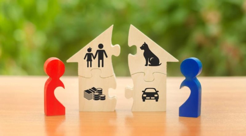 Разделят при разводе?